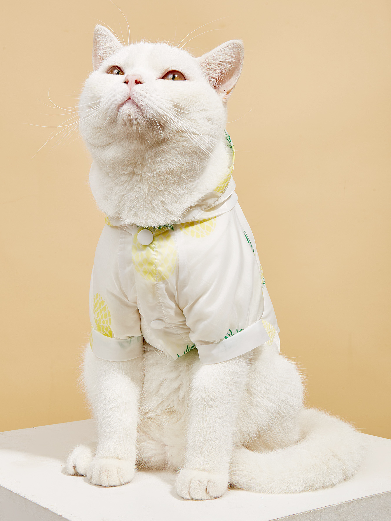 Summer New Pet Cat Supplies Shirt Dog Sun Protection Clothing With Hood Thin Section Breathable Fruit Printing Sun Protection Clothing — image 3