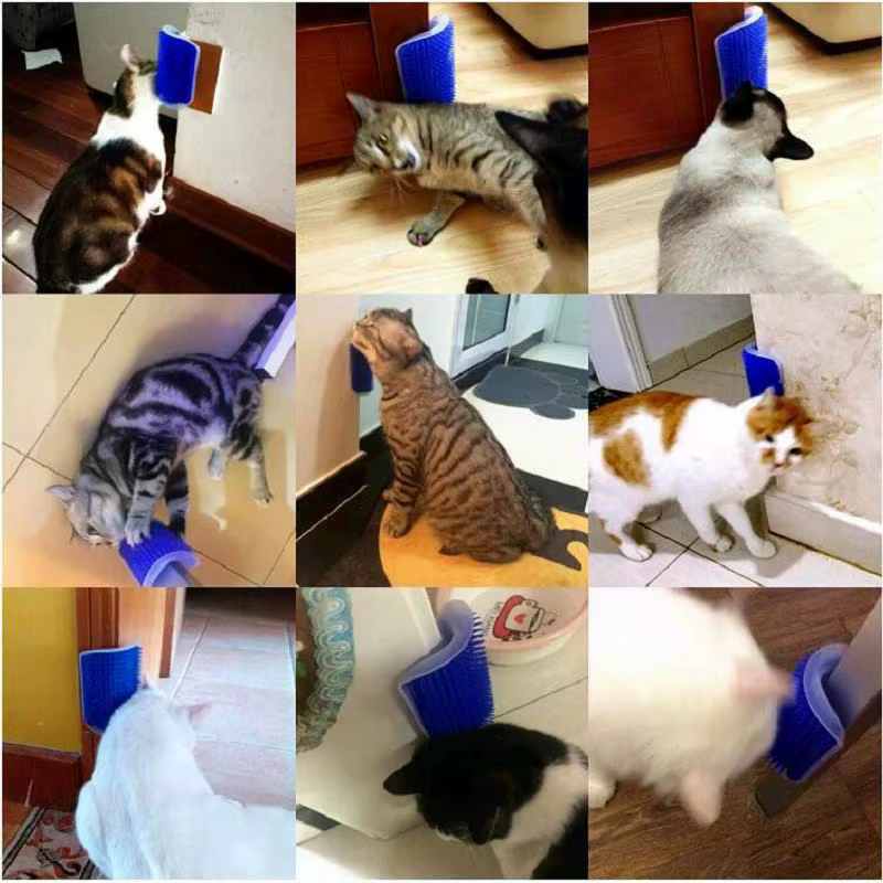 Masajero de rascador para gatos, cepillo para quitar pelo, tabla de aseo para perros y gatitos, Royal Canin Accesorios Kitten Care — imagen 2
