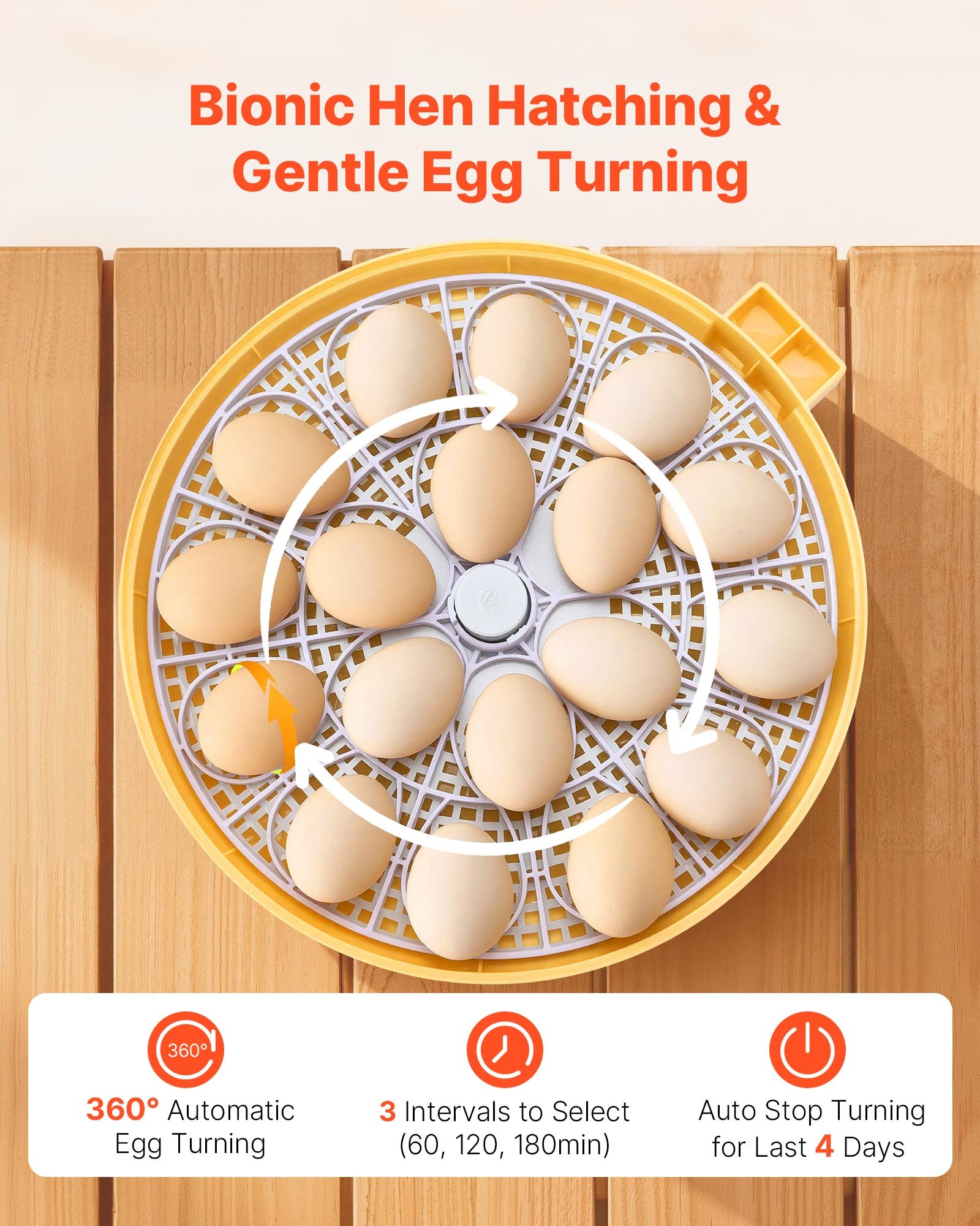 Incubadora de 18 Huevos Automática con Rotador de Huevo LED, Control de Temperatura y Humedad, Ventana de Visión 360° Claro, Relleno de Agua Automático para Incubar Pichones, Gansos, Cisnes, Codornices — imagen 5