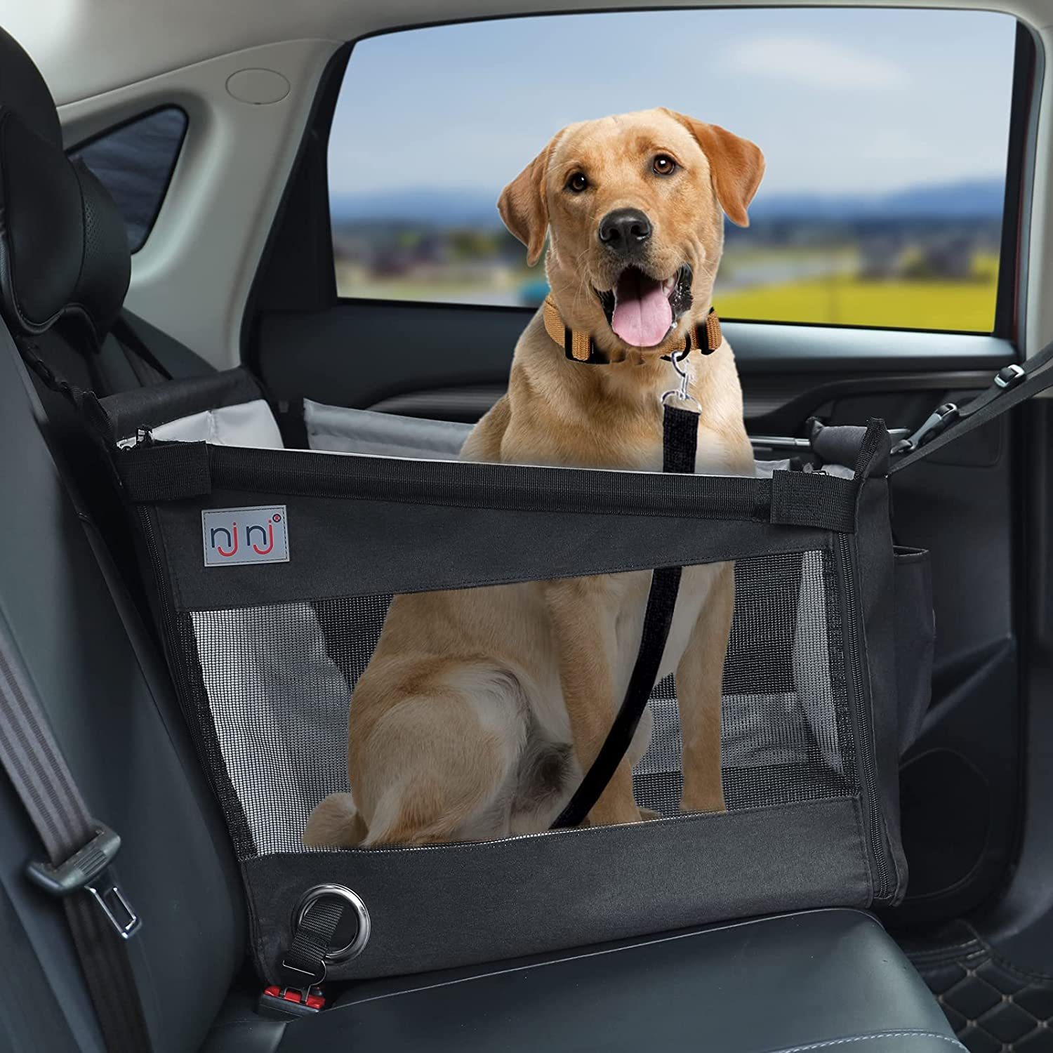 Caja de Transporte para Mascotas de Auto - Carrocería Rígida y Resistente al Lodo — imagen 1