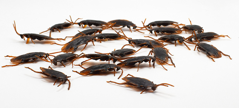 Juguetes de Cucarachas de Halloween: Divertidos y Aterradores — imagen 3