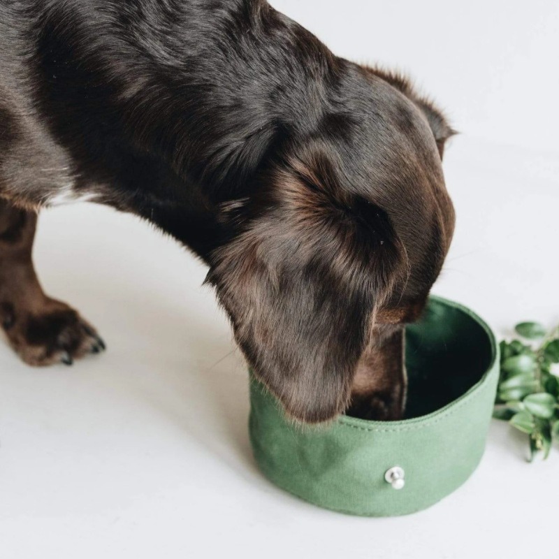 Foldable Waxed Food Tray Portable Pet Tableware Outdoor Pet Travel Canvas Dog Bowl — image 3