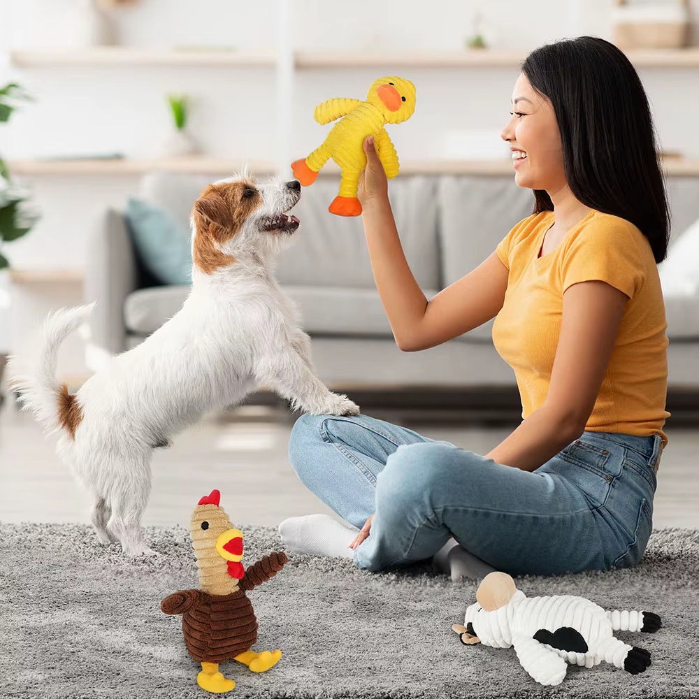 5 Pack Dog Toys Plush Dog Squeaky Toys, Assortment Value Bundle Animal Pet Toy for Small Medium Large Dogs, Stuffed Puppy Chew — image 5