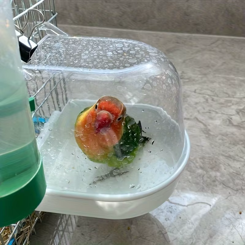 Baño de Aves Transparente - Ducha Impermeable para Loros, Amorosos y Cururos con Manija Fácil de Agarrar — imagen 3