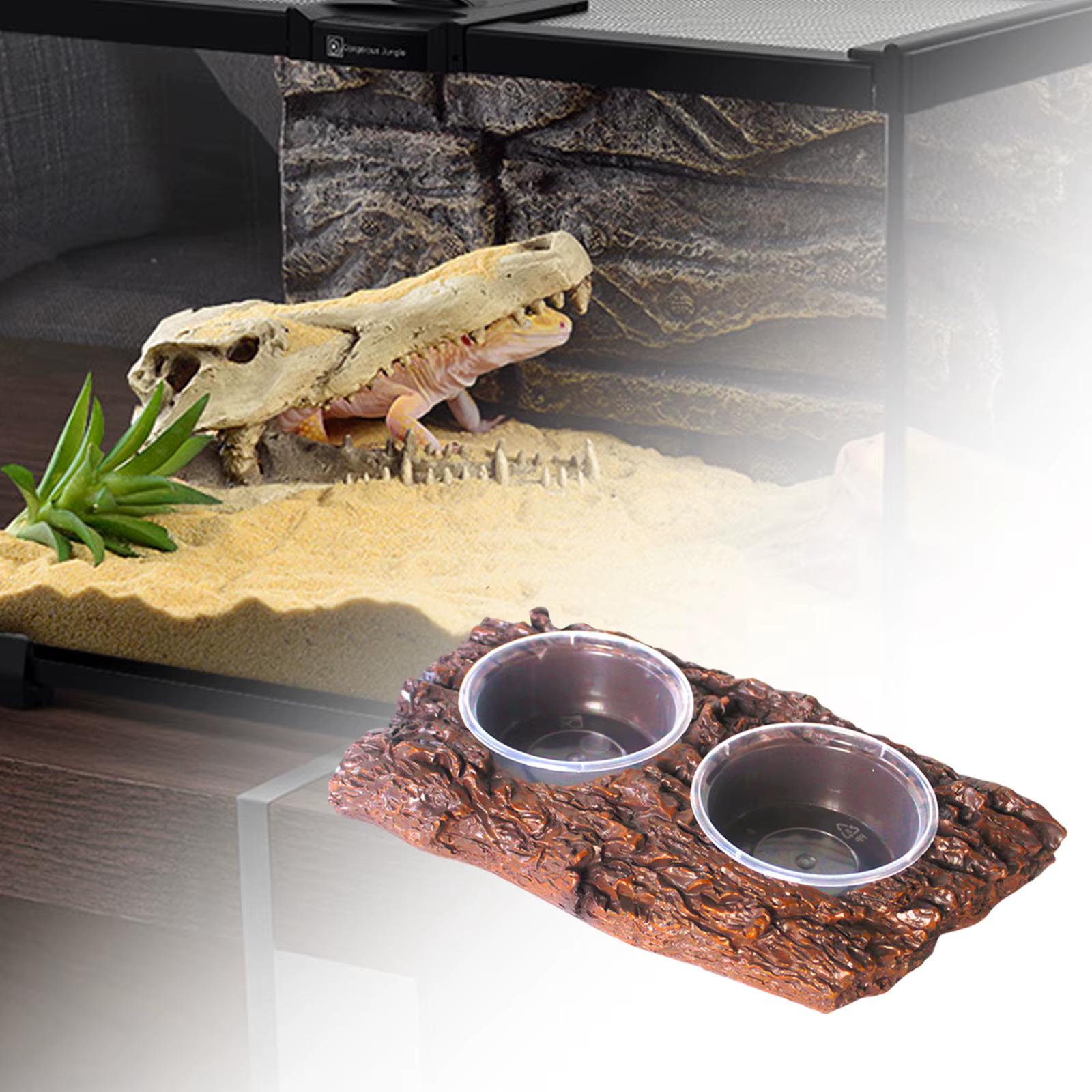 Bol de Alimentación y Agua para Reptiles - Comida y Bebedero para Lagartos, Serpientes, Tortugas y Anfibios — imagen 3