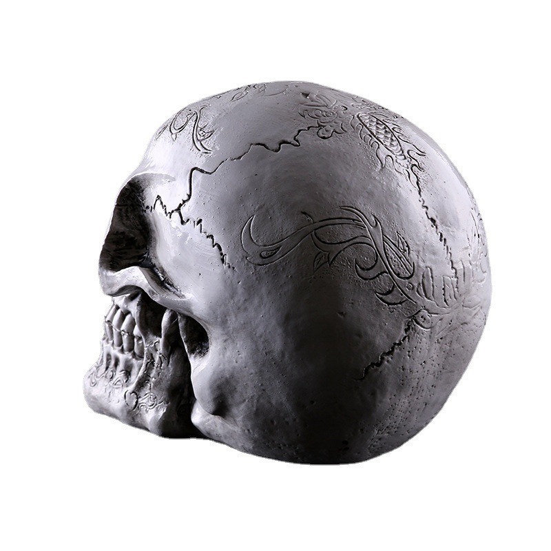 Modelo de cráneo de animal de resina, ornamento de cabeza de cráneo — imagen 3