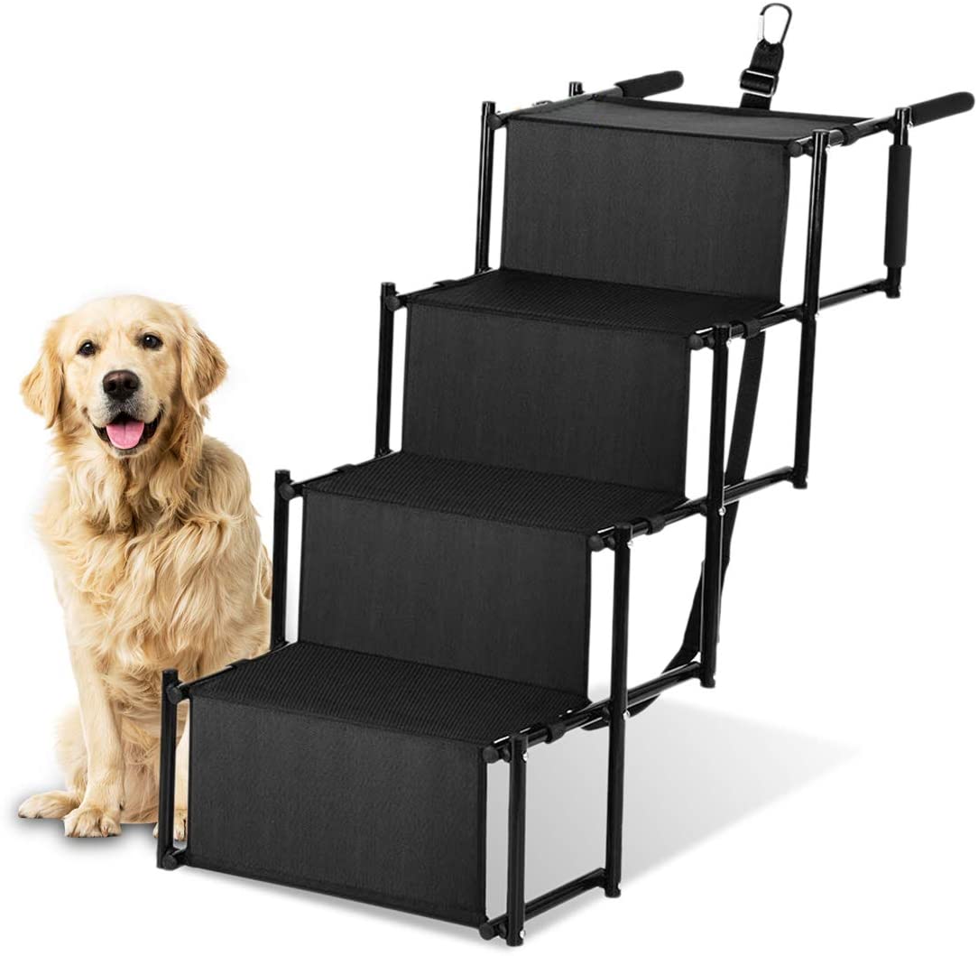 Paso para Perros