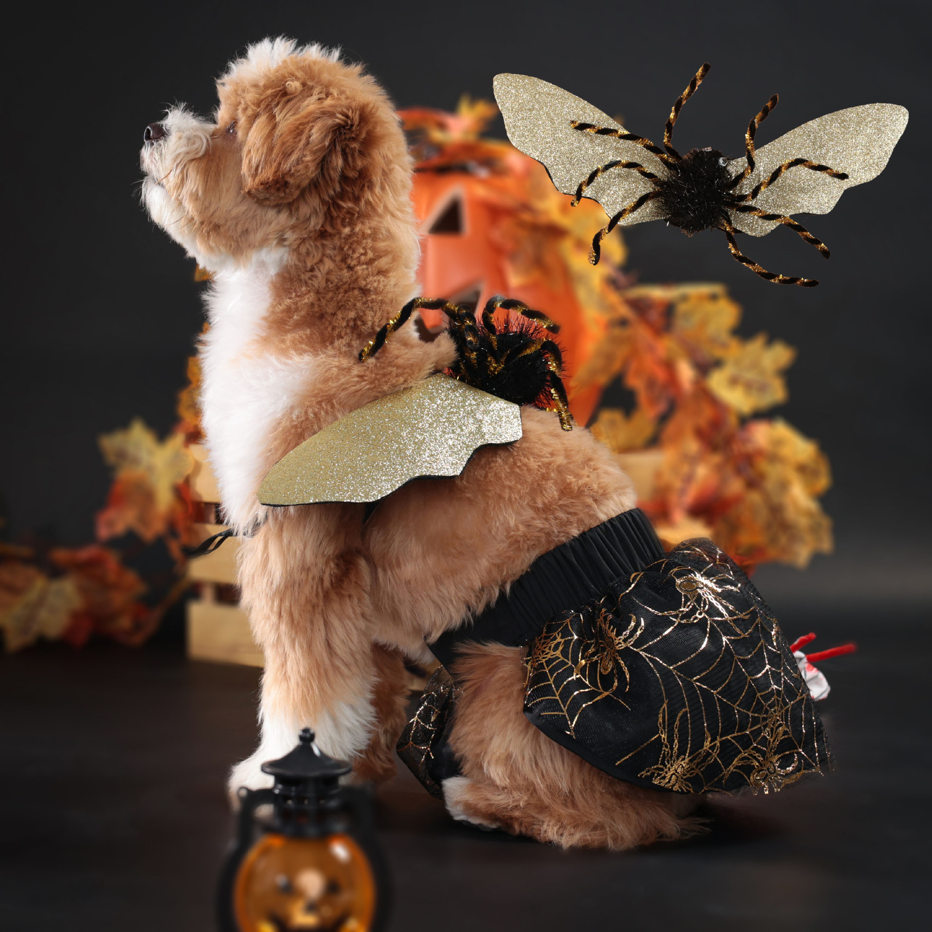 Halloween Pet Dog Costume Spooky Spider Wings Transformation Dress Set — image 2