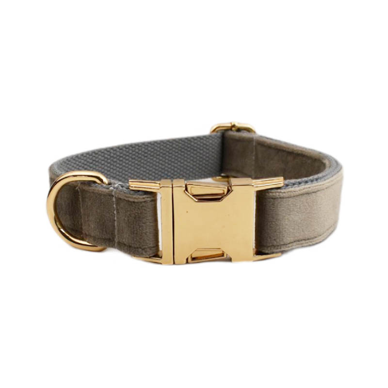 Collar de perro Velvet Collection con grabado personalizado — imagen 16