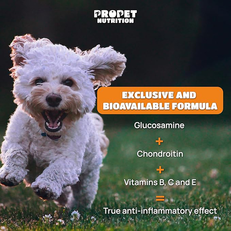 Suplementos Articulares para Perros y Gatos con Glucósamina, Quitina, 10 Vitaminas, Ácido Hialurónico y MSM — imagen 9
