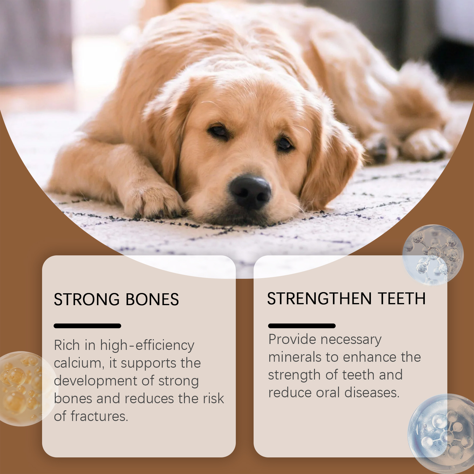 Milk Calcium Tablets For Dogs Vitamin Supplements For Pets Oral Care Diet Healthy Nutrition Calcium Tablets — image 5