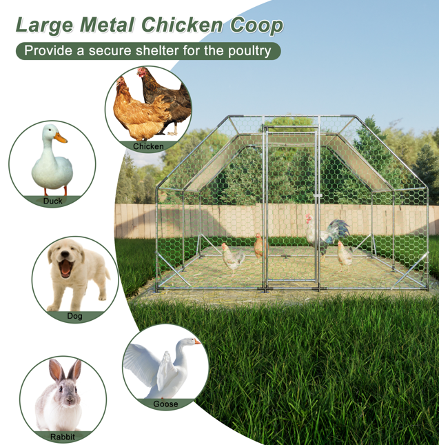 Cubo de Gallinas Plano de 10x13 pies — imagen 7