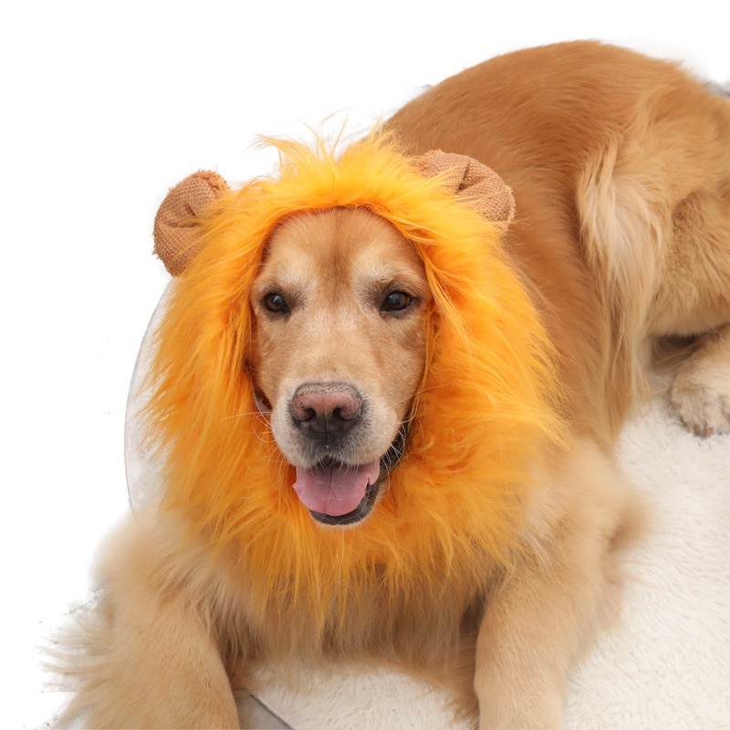 Ropa para Mascotas - Sombrero de León para Perros — imagen 5