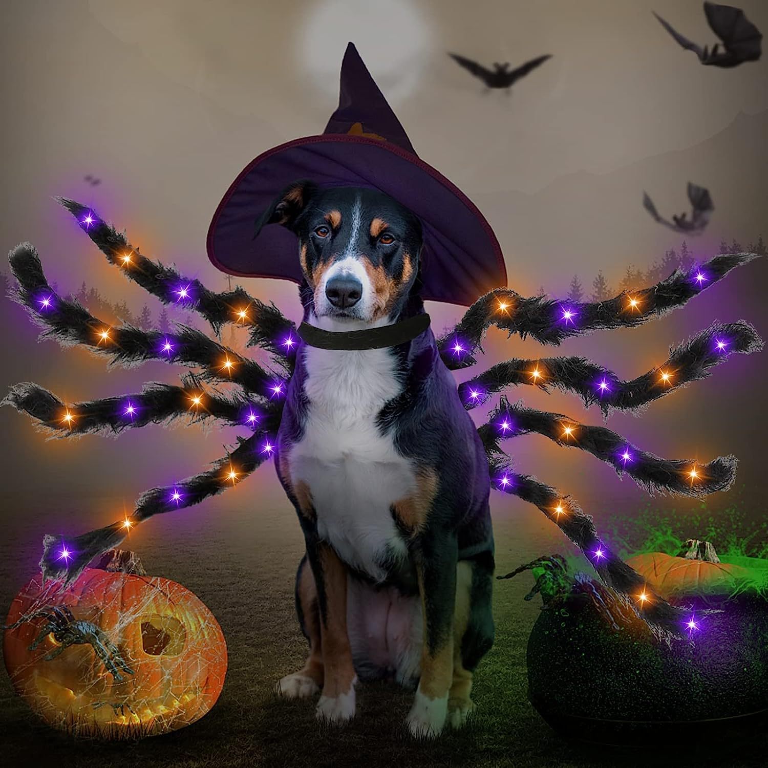 Halloween pet prop bat wings — image 12