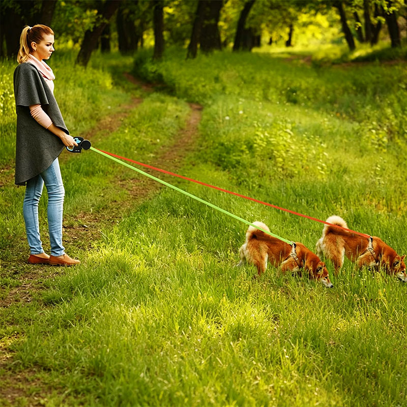 Dual / Double Dog Leash, 360° Retractable Roulette, 3M, LED Light, Tangle-Free, Double-Ended Traction Rope — image 5