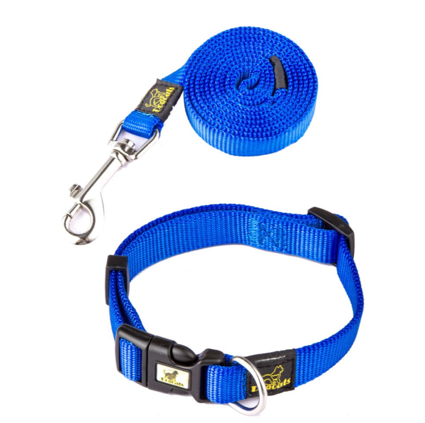 New Dog Nylon Collar (Including Leash) Set European And American Fashion Pet Supplies — image 3