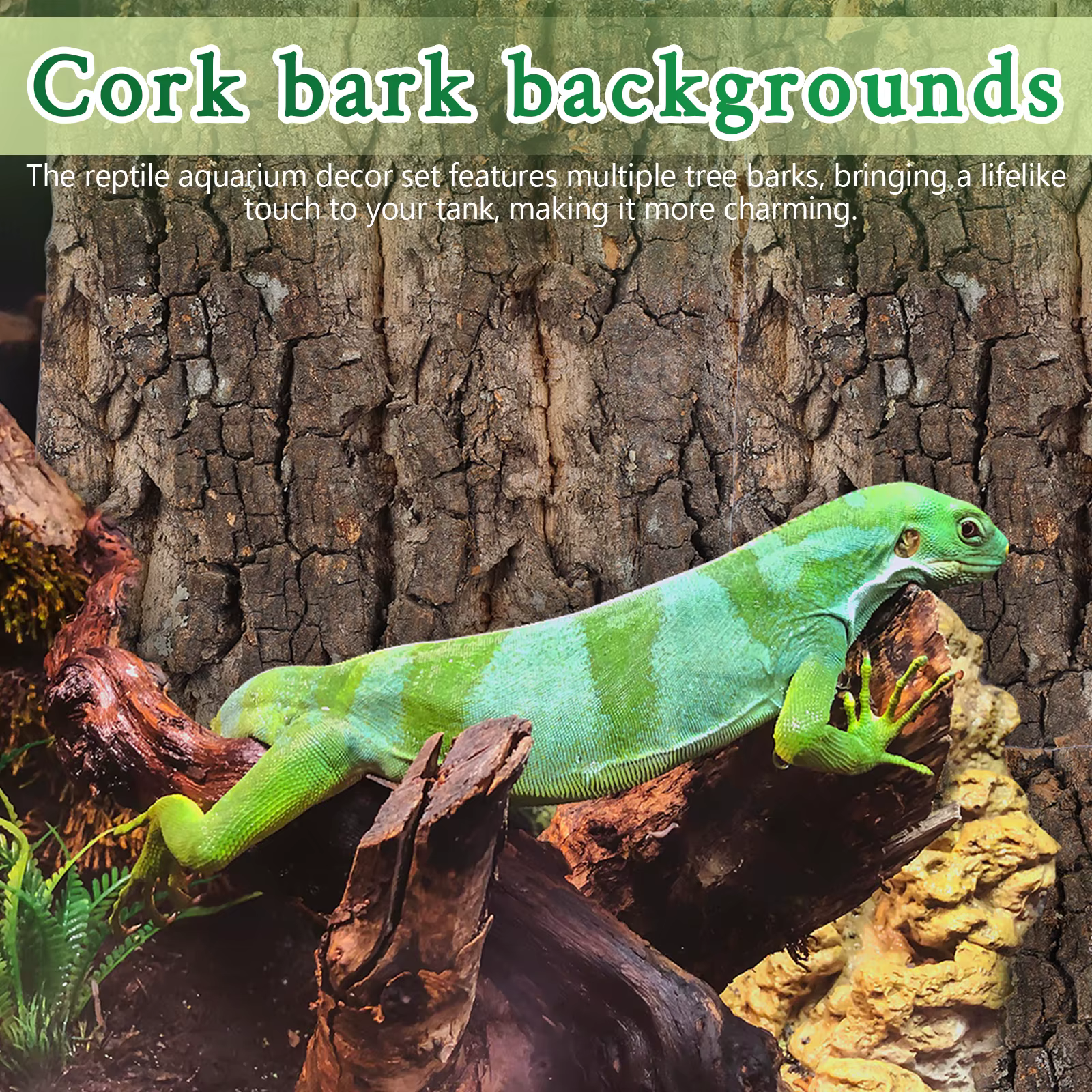 4 Piezas de Fondo de Corteza de Corcho para Terrario, Decoración para Terrario de Reptiles, Fondo de Corteza Natural para Lagartos, Geckos, Dragones Barbudos y Acuarios — imagen 2