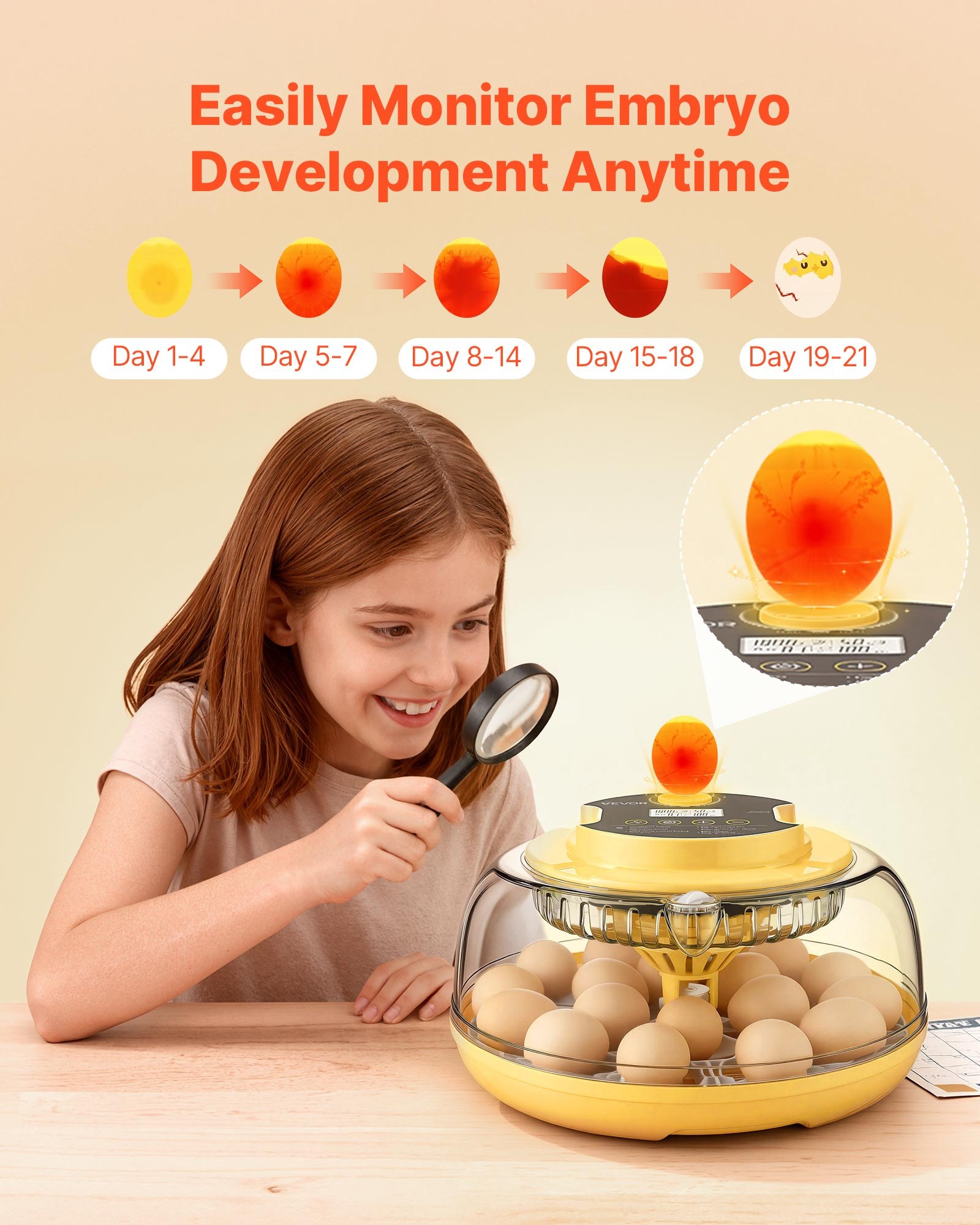 Incubadora de 18 Huevos Automática con Rotador de Huevo LED, Control de Temperatura y Humedad, Ventana de Visión 360° Claro, Relleno de Agua Automático para Incubar Pichones, Gansos, Cisnes, Codornices — imagen 2