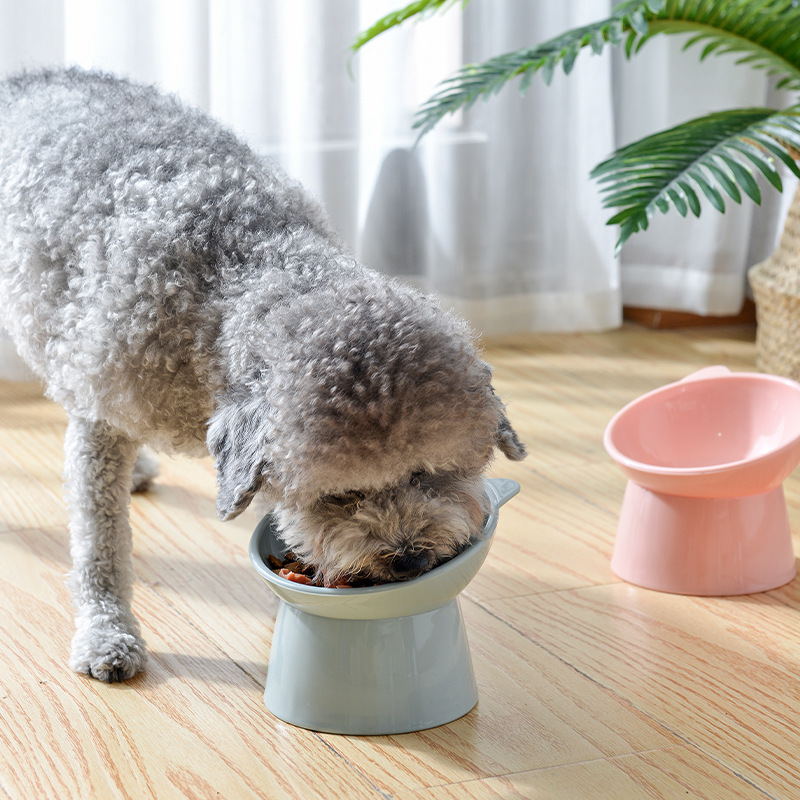 Cat Pet Supplies High Cat Bowl Dog Bowl To Protect The Cervical Spine Cat Feeding Bowl Slant Mouth Drinking Pet Bowl — image 3