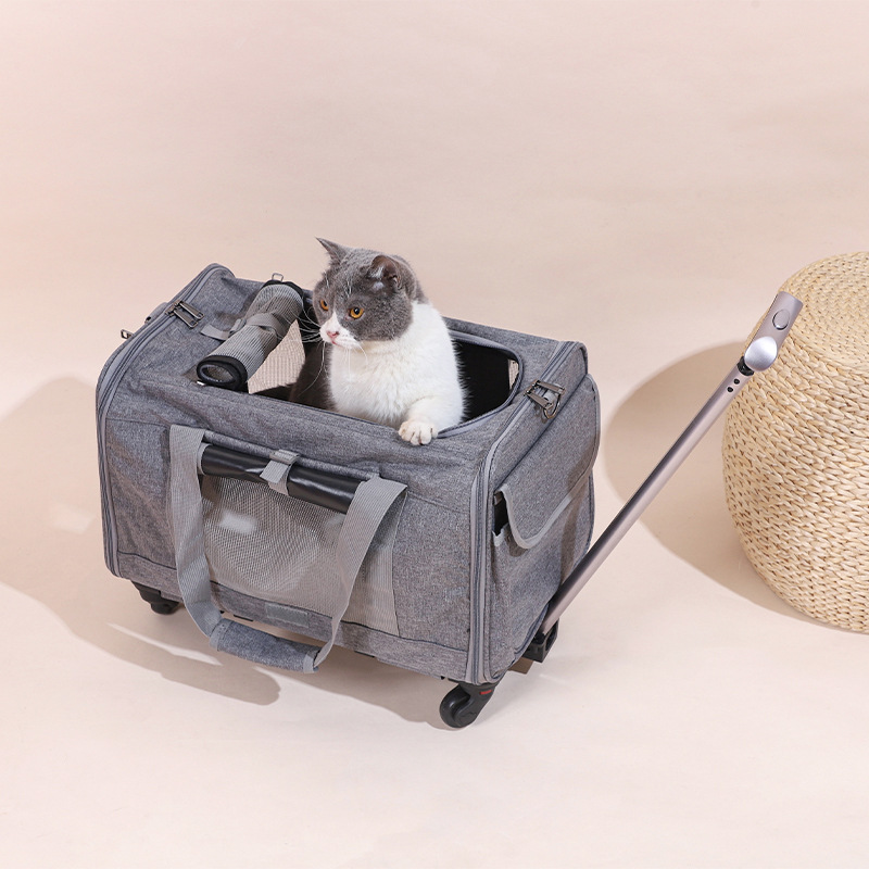 Travel Cat Carrier Summer Dog Pet Bag Foldable Cat Pet Box Breathable Portable Pet Trolley Case — image 1