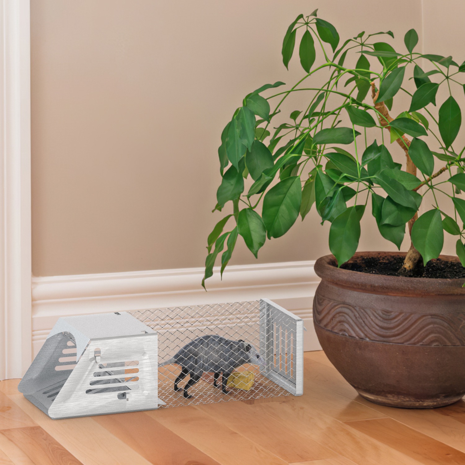 2 jaulas trampa humanitarias para ratones, sin necesidad de armado, trampa automática y continua para ratas con puerta unidireccional, reutilizable, para capturar y liberar animales, roedores, topillos y ratones, para primavera y verano — imagen 10