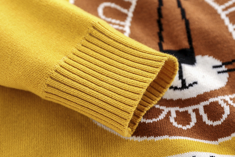 Children's Knitwear Boys' and Girls' Lion Cartoon Pattern Sweater — image 5