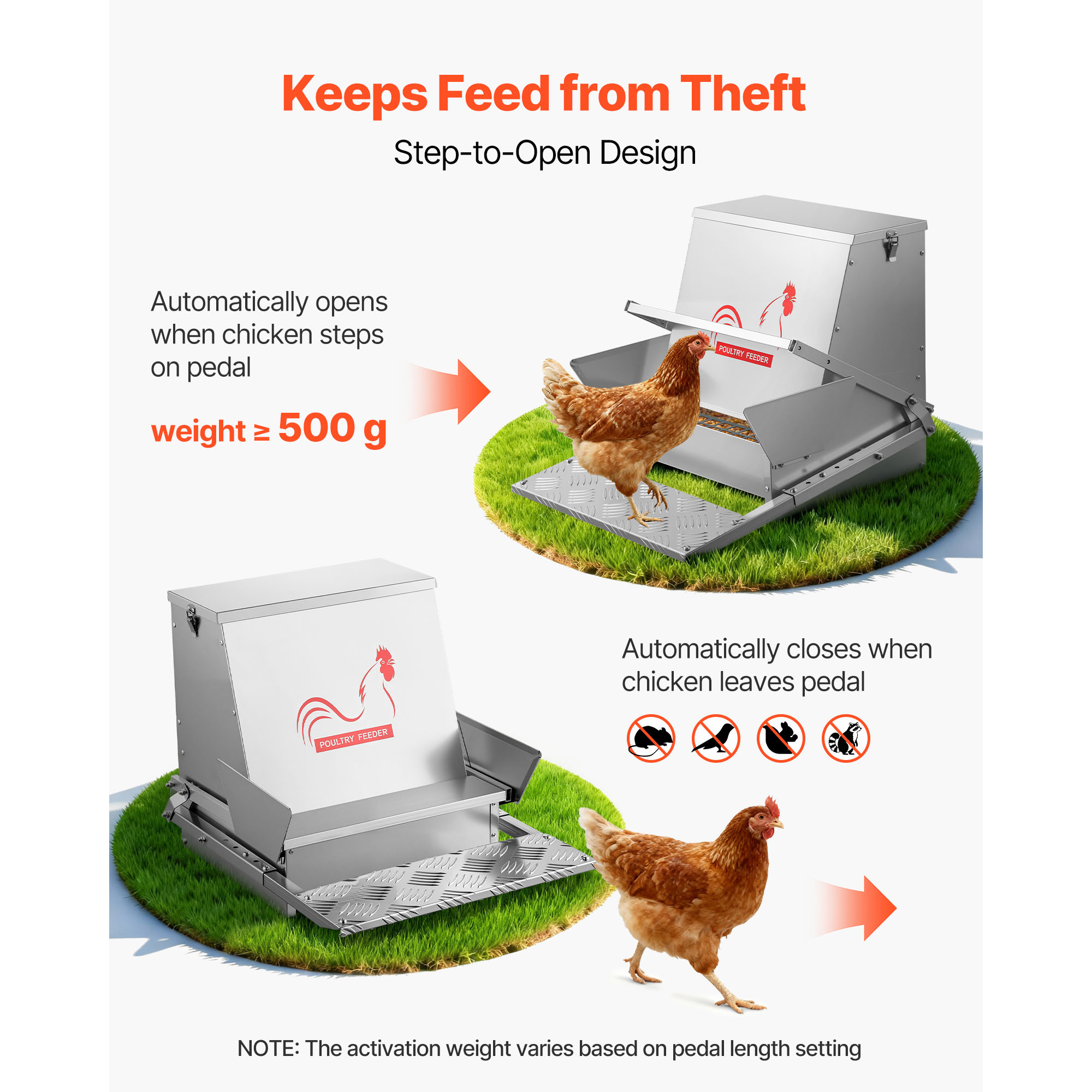 Automatic Chicken Feeder, 40 Lbs Capacity, Rainproof Treadle Poultry Feeder With Lockable Lid, No Waste, Galvanized Steel Construction, Outdoor Use, For Chicken, Bantams, Poultry, Pheasants — imagen 2