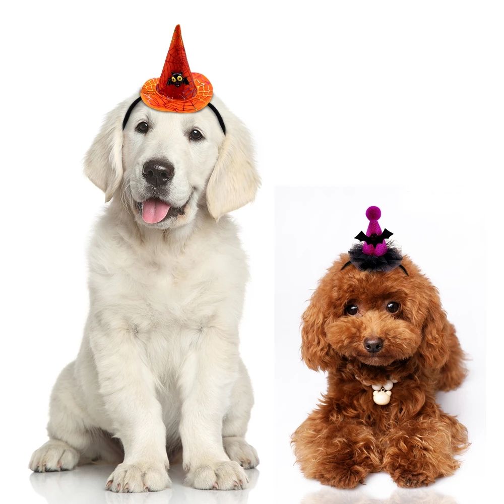 Halloween Spider Web Witch Hat Elastic Hair with Pet Supplies Dog Cat Pumpkin Bat Hat Hair Accessories — image 2