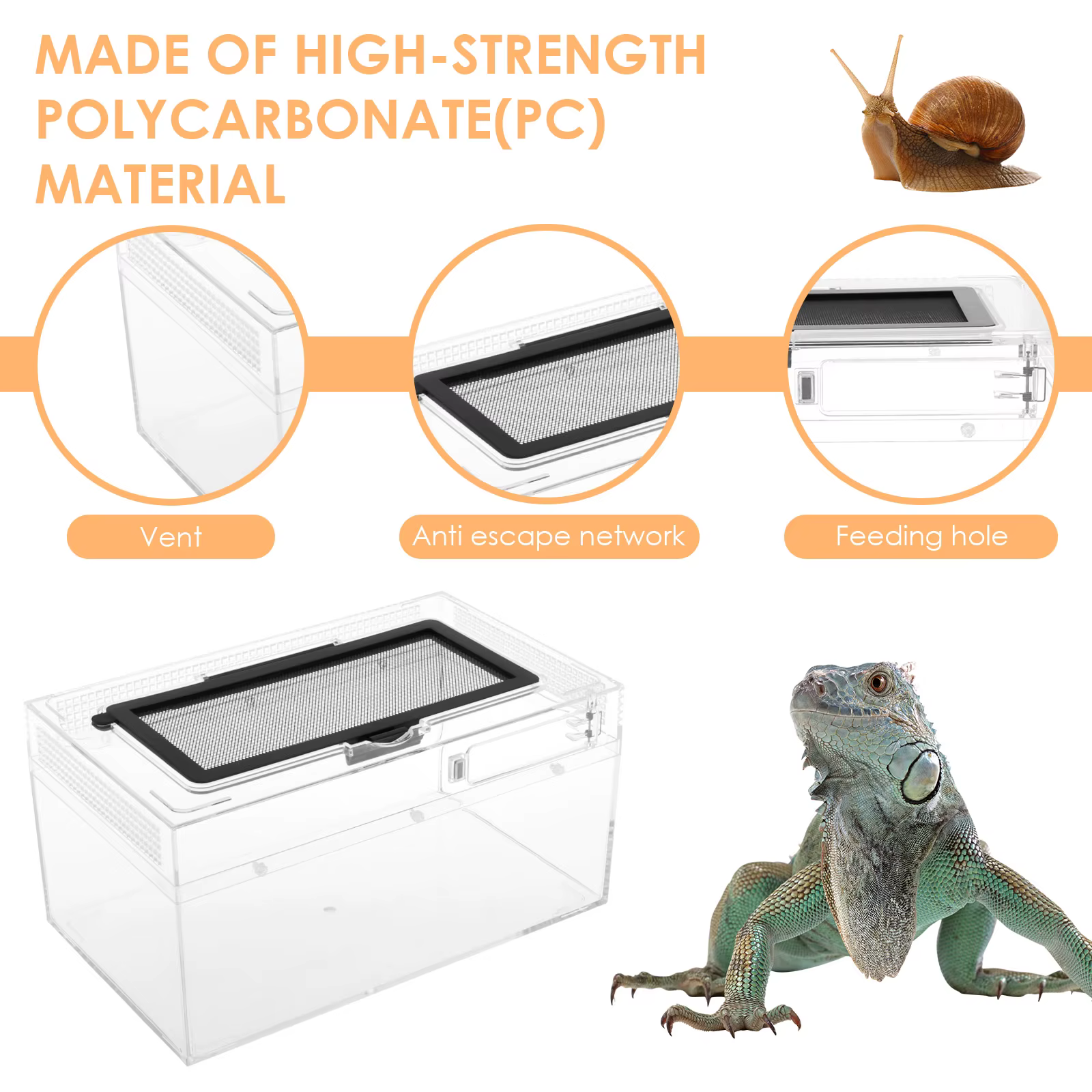 Reptile Terrarium Transparent Breathable Amphibian Tank Anti-Escape Breeding Box for Turtle Spider Lizard Snake Frog Reptiles — image 3