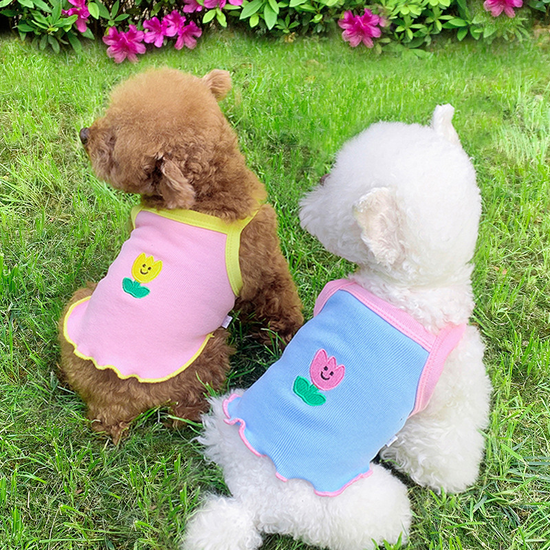 Ropa de Verano para Perros - Oso Teddy para Schnauzers y Gatos Pequeños — imagen 1
