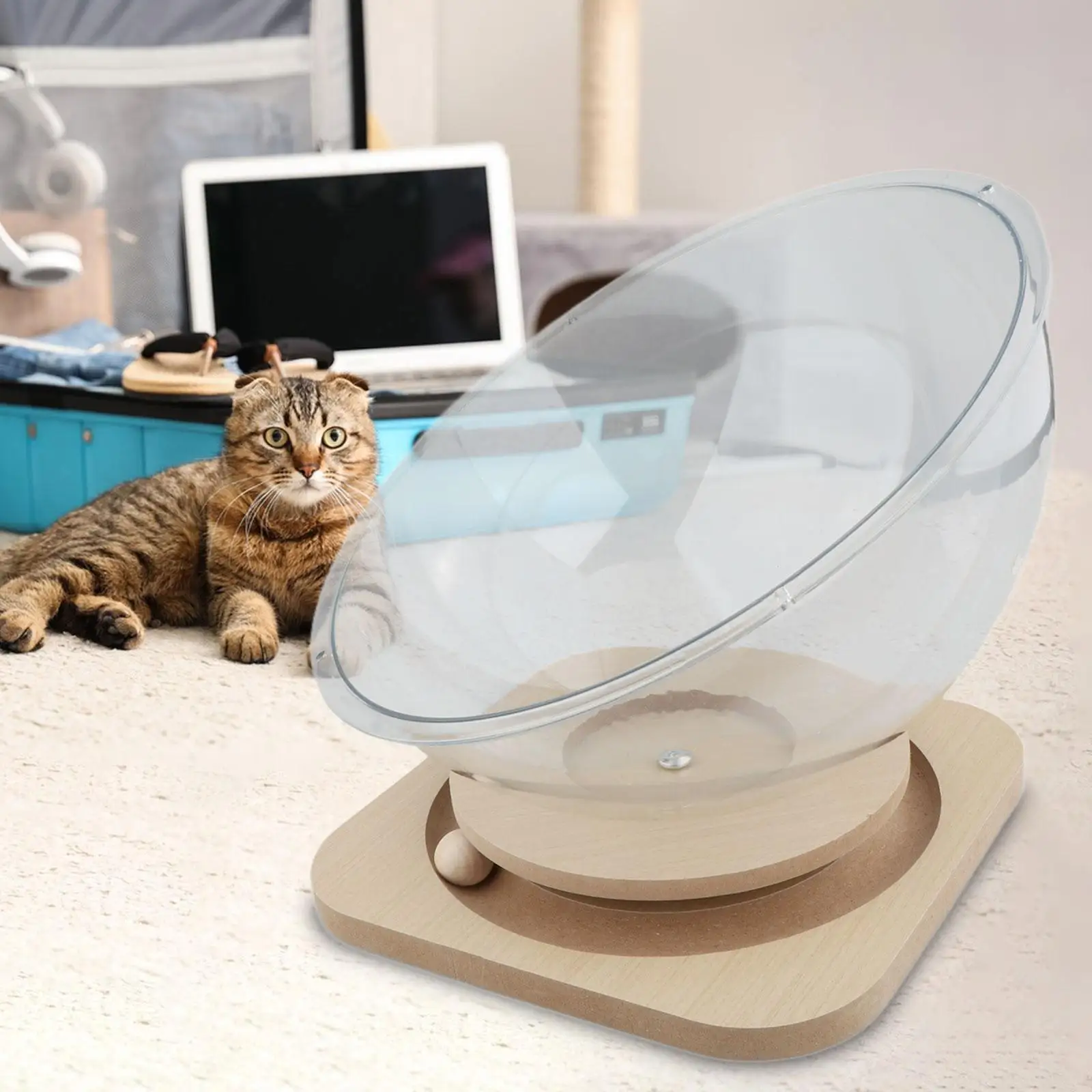 Space Capsule Cat Bed Kitten Sleeping Nest Acrylic Universal Cat Activity Centre Hammock Nest Kennel for Small Animals Pet Suppl — image 3