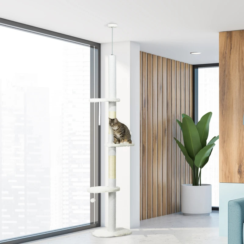 Árbol de Gato desde el Suelo hasta el Techo — imagen 6
