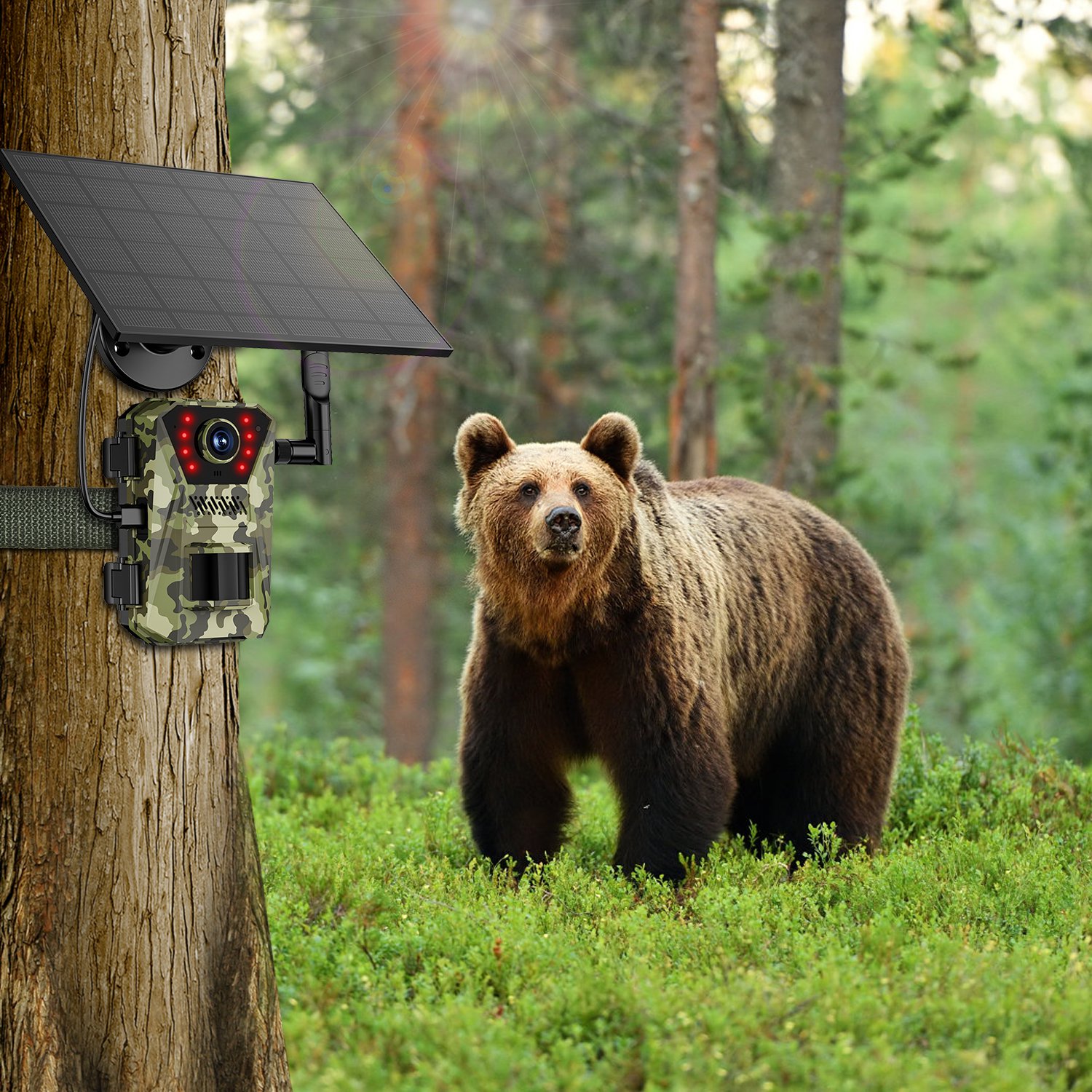 4G 4K 30FPS Solar Trail Camera Outdoor Wildlife Camera Motion Activated IP66 Waterproof With 140 Degree Viewing Angle No Glow Night Vision SIM Card APP Control No WiFi Needed — image 4