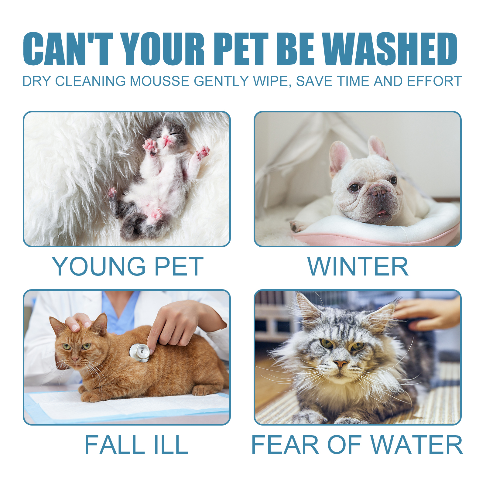 Mousse de limpieza seca para mascotas Yegbong - Enjuague sin agua para gatos y perros jóvenes, elimina olores y suaviza el pelaje — imagen 5