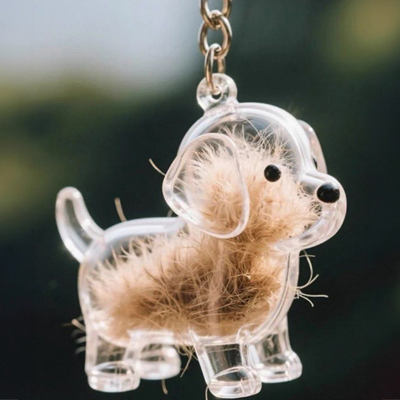 A transparent DIY pet hair memorial keychain box, a sweet keepsake for dog lovers — image 2