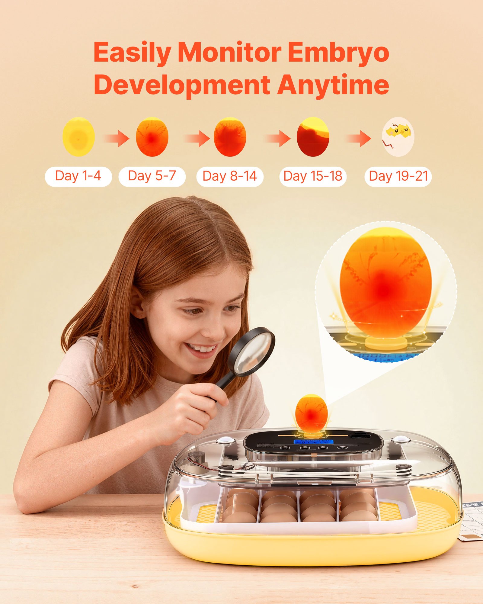 24 Egg Incubator, Automatic Egg Turner With LED Candler, Temperature & Humidity Control, 360° View Clear Window, Auto Water Refill, Poultry Eggs Incubators For Hatching Chicks Ducks Goose Quail — imagen 4