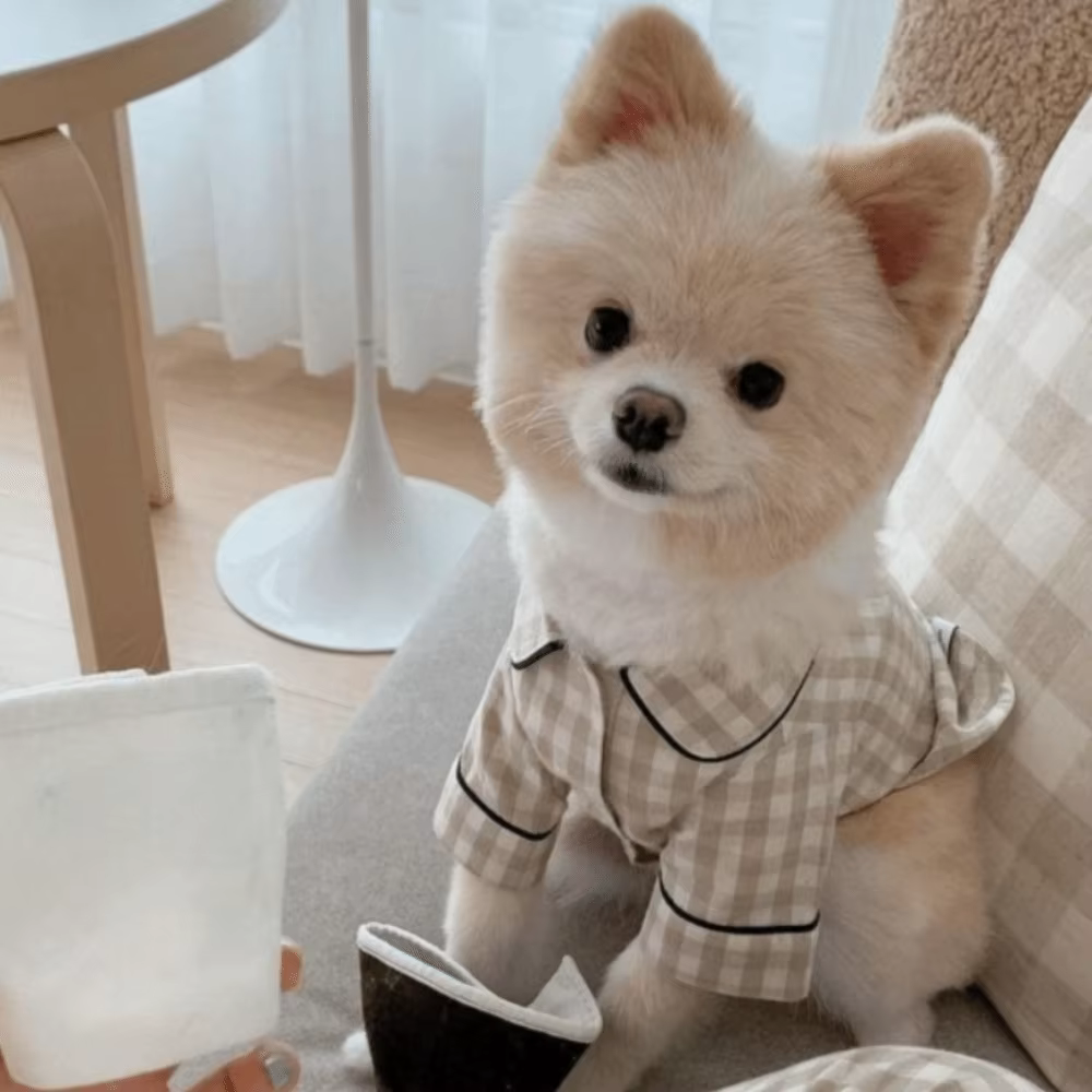 Pet Decoration Comfortable Ins Plaid Shirts Pet Clothing Elegant Fashion Dogs Pajamas Costume Cute Cat Dog Clothes Proposal — image 1