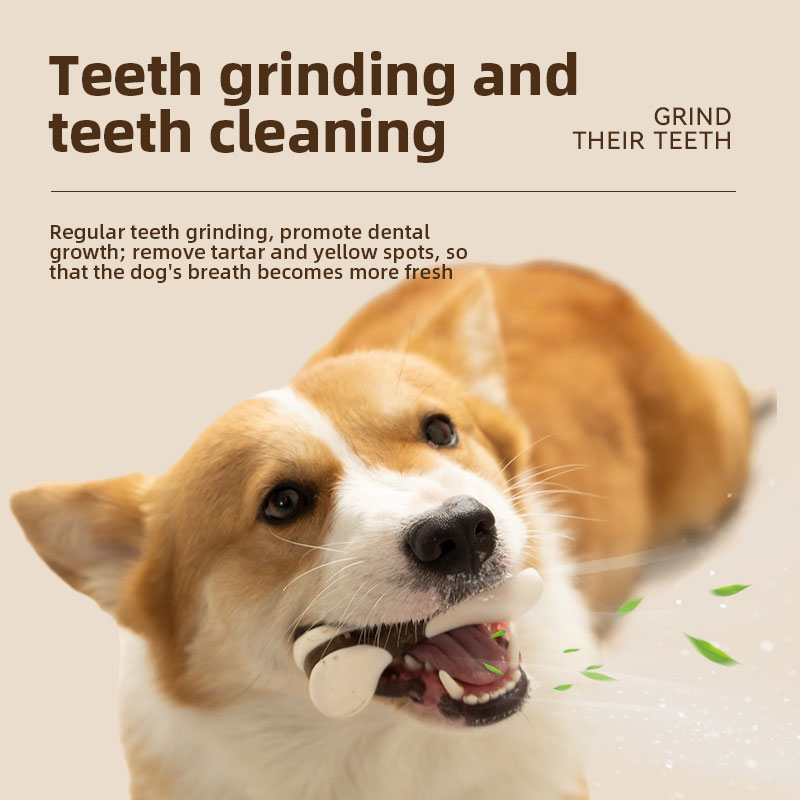 Pet Toys Eat Play Bones Teeth Cleaning Teeth Grinding Stick Cowhide Stick Dog Bite Gel Hind Leg Bone Chew Dog Bite Toys — image 3