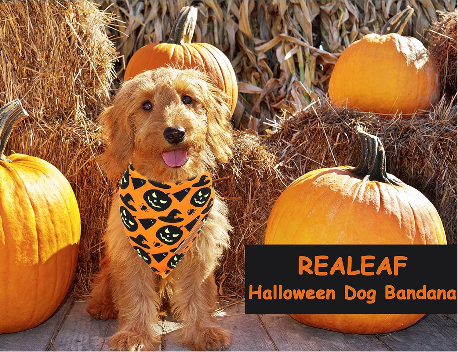 Dog Bandanas 2 Pack, Reversible Pumpkin And Spider Web Fall Pet Scarves, Adjustable Triangle Bibs For Dogs, X-Large — image 4