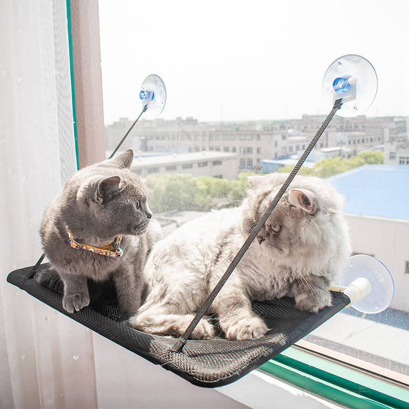 Nido de Gato para Todos los Climas - Colgador de Gatos Solario con Cúpula de Succión Removible — imagen 1