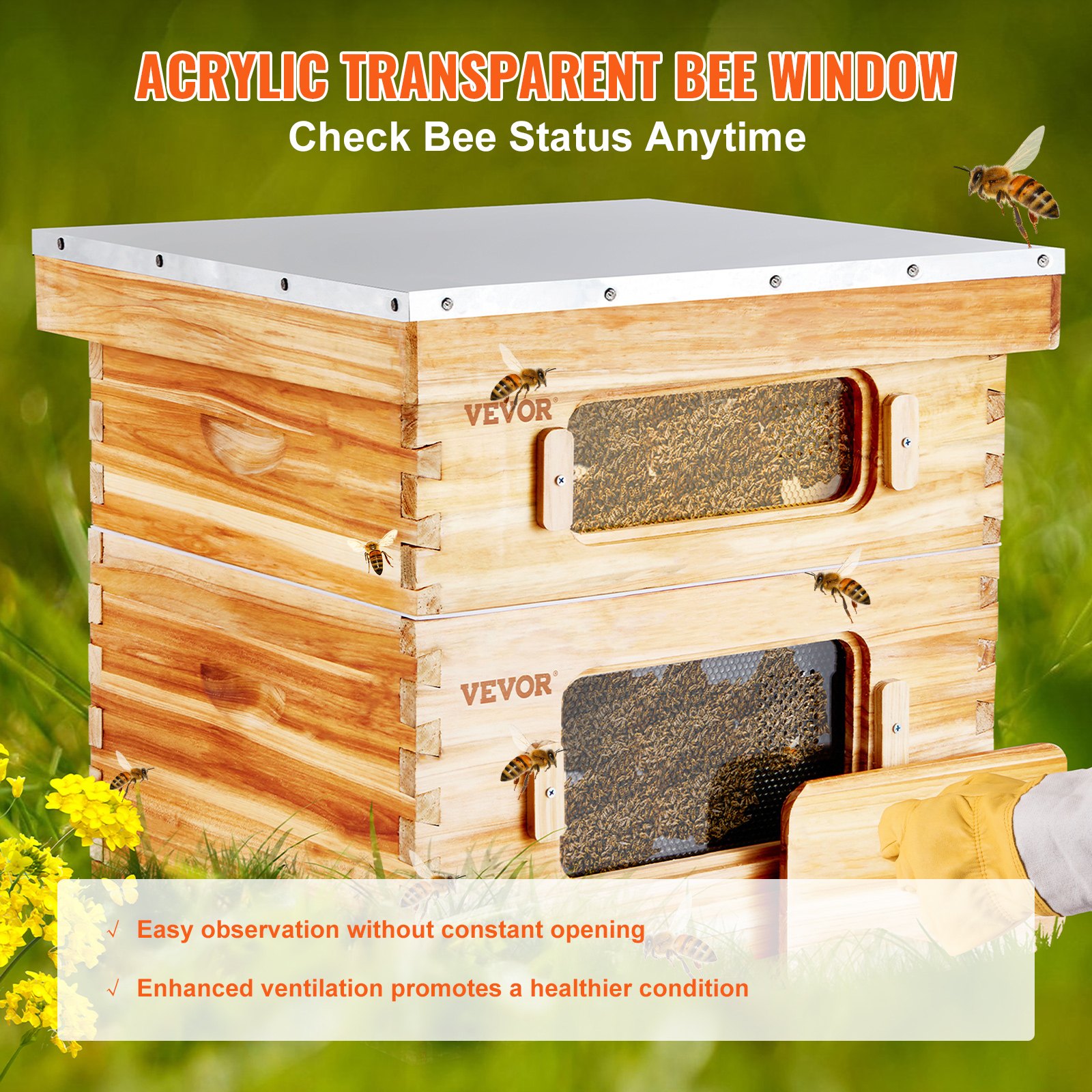 Bee Hive 20 Frame Bee Hives Starter Kit, Beeswax Coated Cedar Wood, Bee Boxes Langstroth Beehive Kit, Transparent Acrylic Windows With Foundations For Beginners Pro Beekeepers — image 3