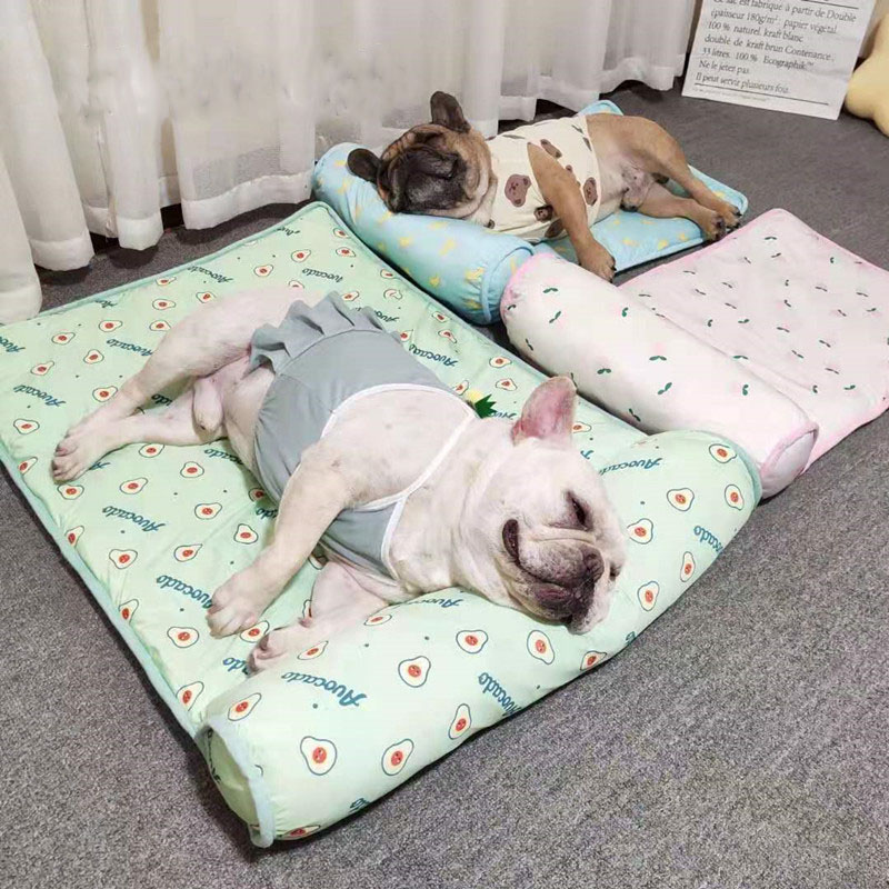 Cat dog pet ice pad summer autumn cooling heatstroke prevention sleeping mat fruit mat non-slip ice silk mat — image 1