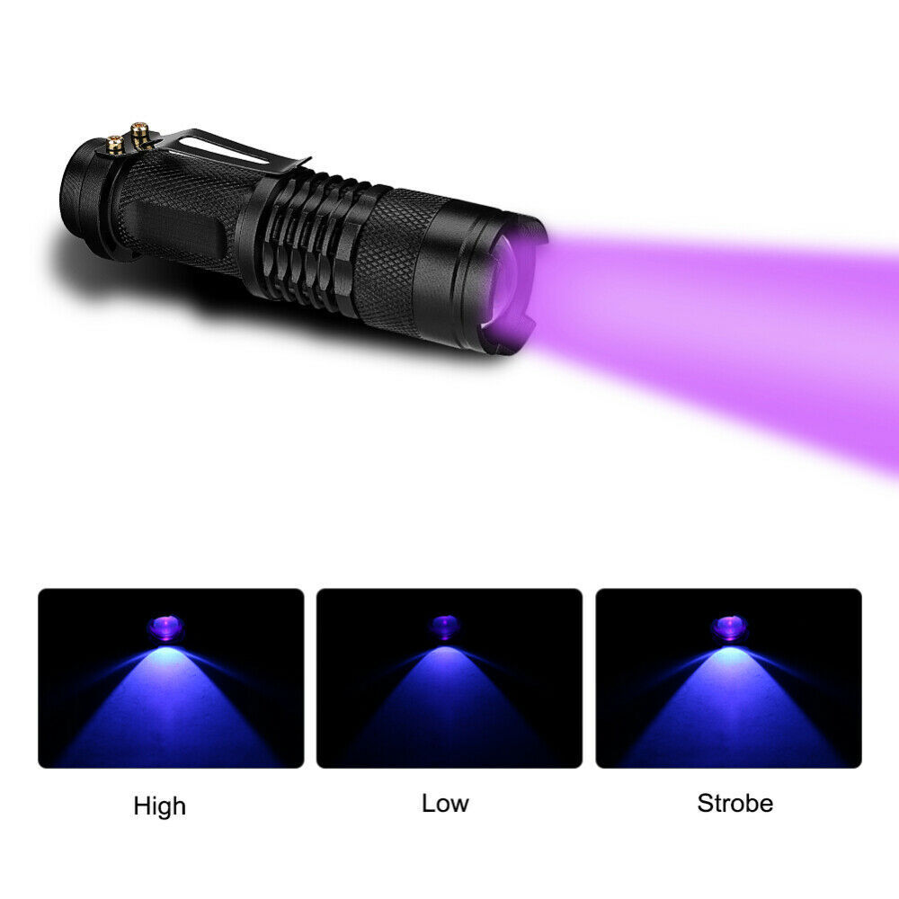 Lámpara UV Portátil de Flash de 395nm para Inspección, Detectar Manchas de Orina Canina y Escorpiones, Insectos y Falsificaciones — imagen 12