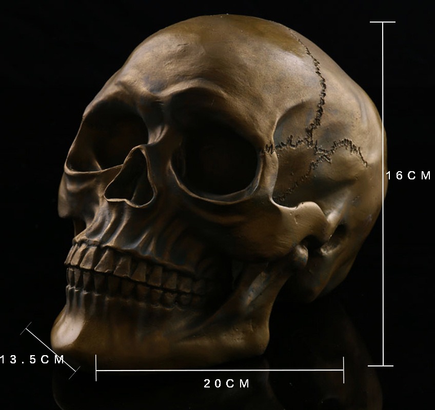 Resin Skeleton Home Decoration Antique Bronze Animal Skull — image 2