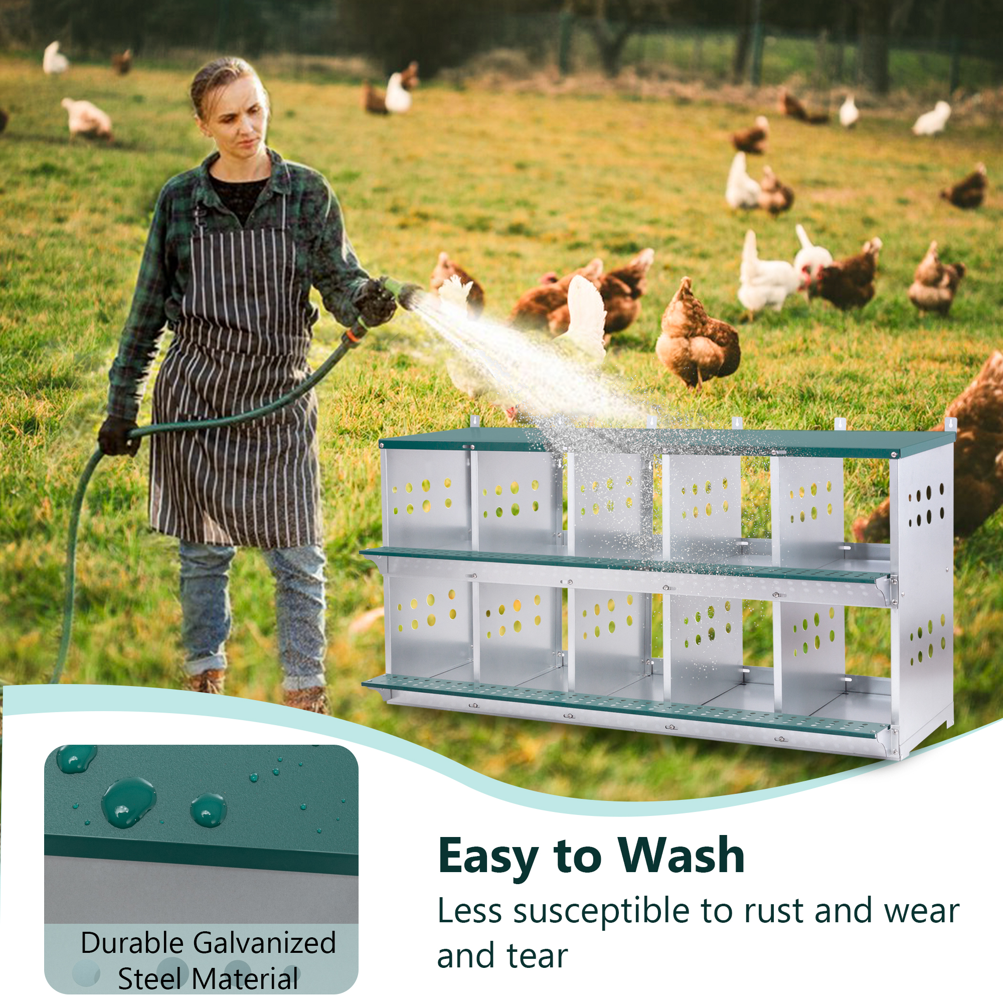 Nidal Metálico de 10 Compartimentos para Montaje en Pared, para Gallinas y Patos, Fácil Recolección de Huevos, Equipo de Gallinero de Acero Galvanizado Ventilado, Verde — imagen 2