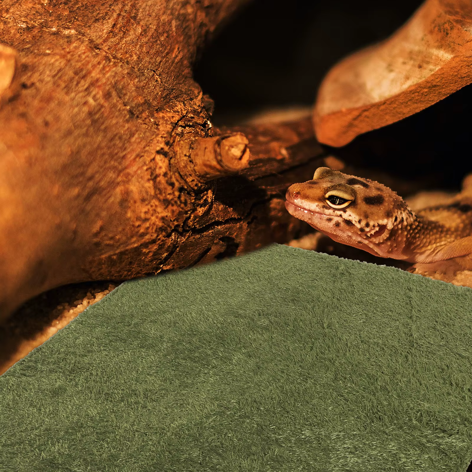 Reptile Carpet Mat Terrarium Bedding Imitation Grass Dry Breathable Reusable Snake Substrate Turtle Lizard Carpet Pet Supplies — image 5