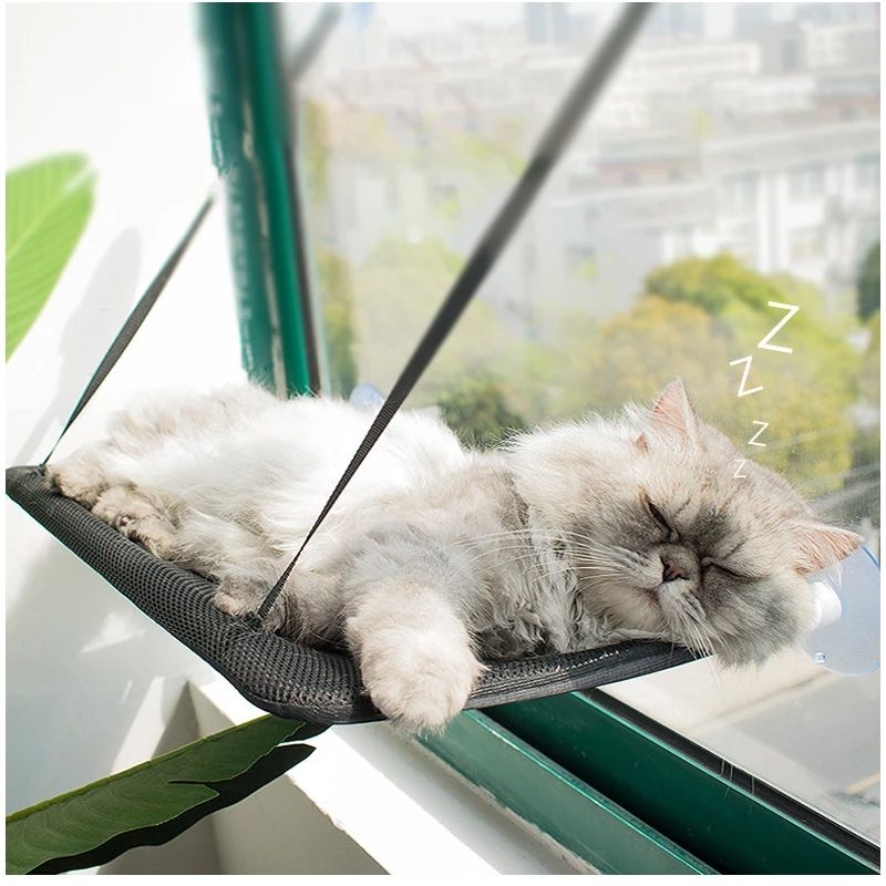 Nido de Gato para Todos los Climas - Colgador de Gatos Solario con Cúpula de Succión Removible — imagen 2