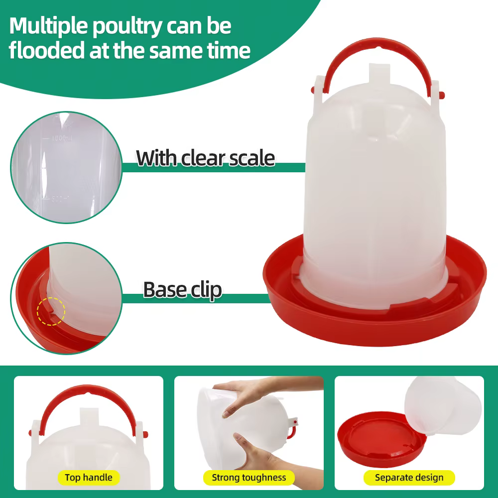 Alimentador y Bebedero de Pollo +3L Dispensador Automático de Agua y Alimento, Cubeta de Alimento y Agua para Pollos — imagen 4