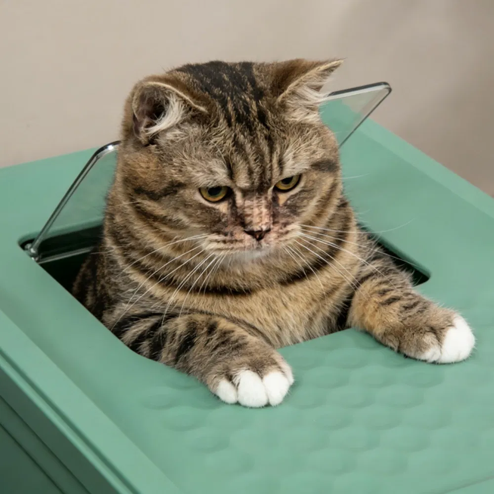 Stainless Steel Enclosed Litter Box for Cats — image 5