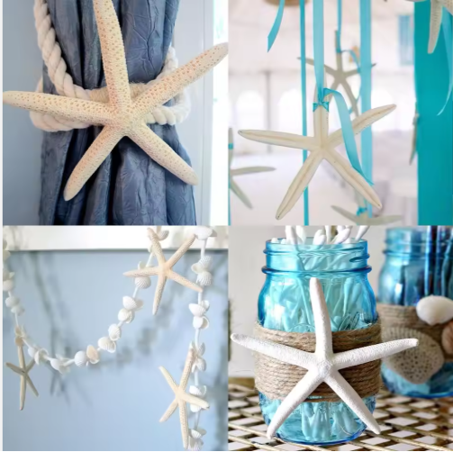 20 Piezas de Estrellas de Mar Naturales al por Mayor de 2-4 y 4-6 Pulgadas, para Manualidades, Bodas, Decoración de Playa y Adornos para Árbol de Navidad — imagen 3
